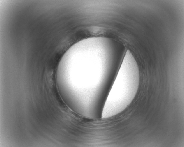 X0000066490319200603170930