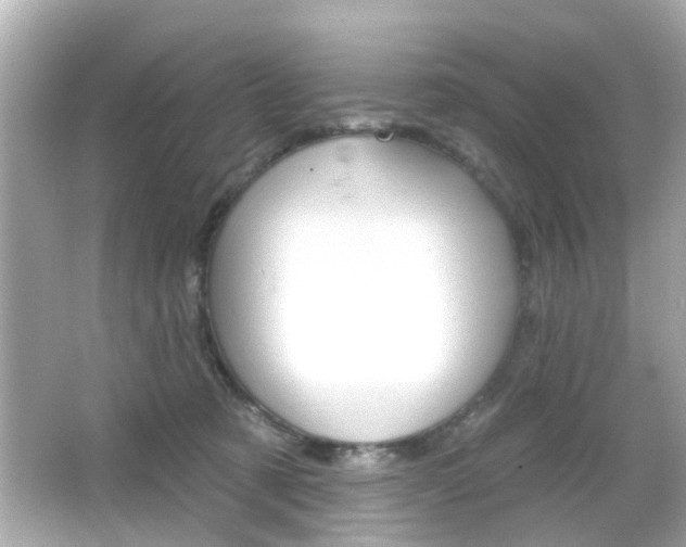X0000066490321200603170930