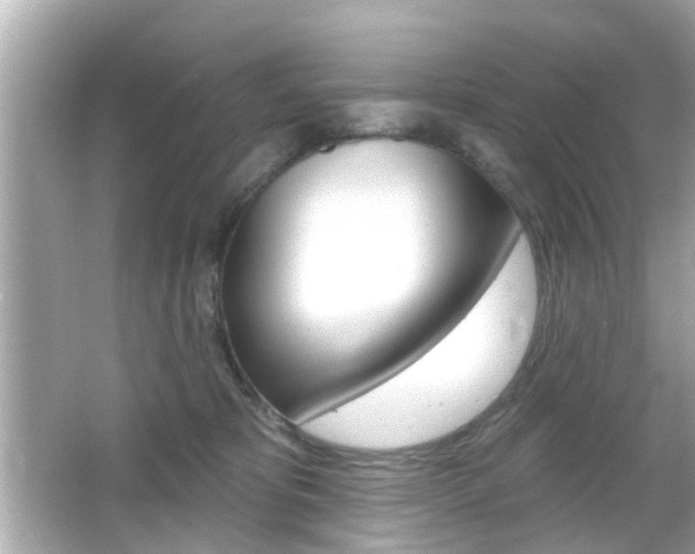 X0000066490325200603170930