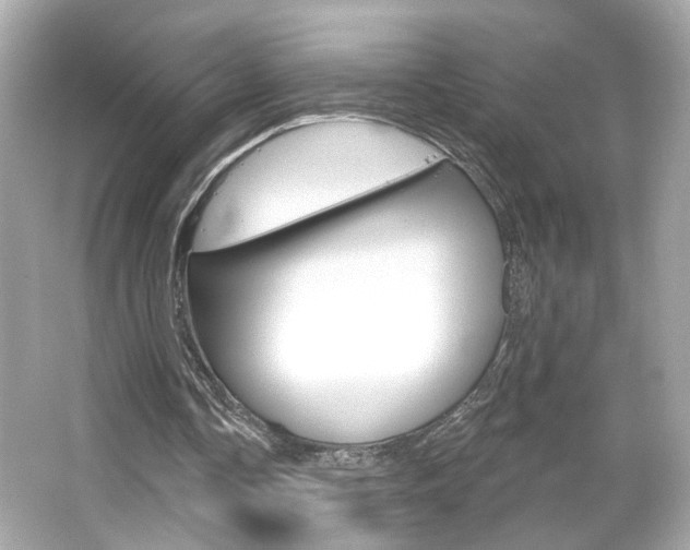 X0000066490338200603170929
