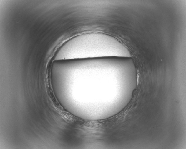 X0000066490339200603170929