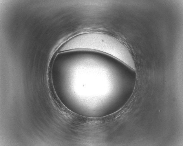 X0000066490340200603170929
