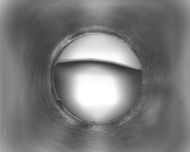 X0000066490341200603170929
