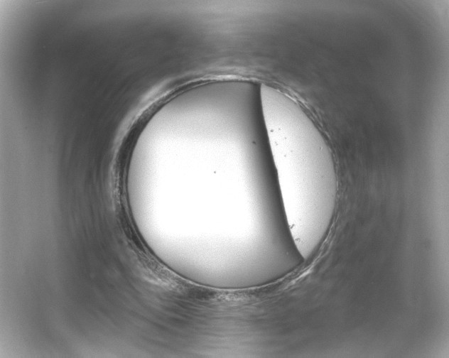 X0000066490343200603170929