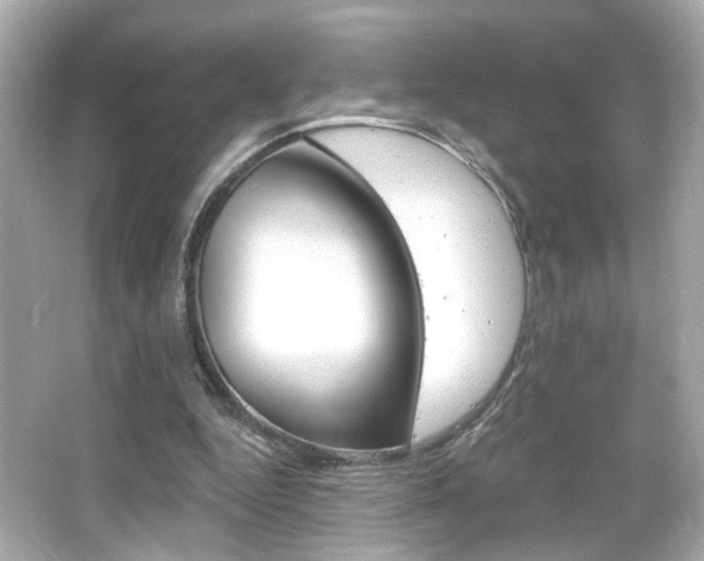 X0000066490344200603170929