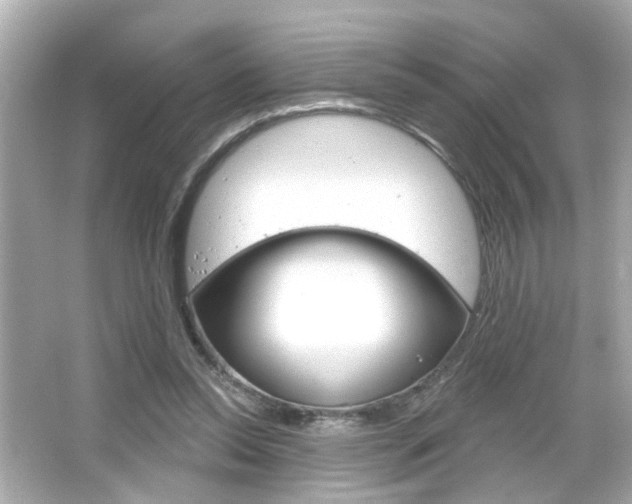 X0000066490350200603170930
