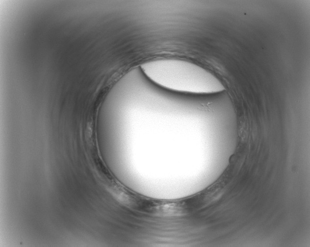 X0000066490365200603170930