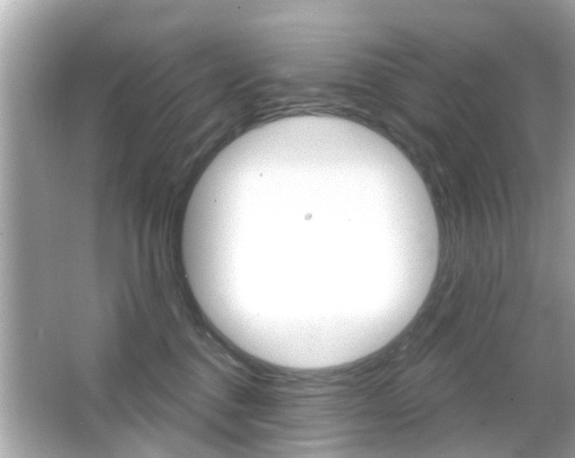 X0000066490376200603170930