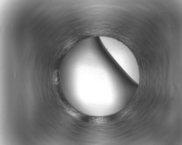 X0000066490383200603170930