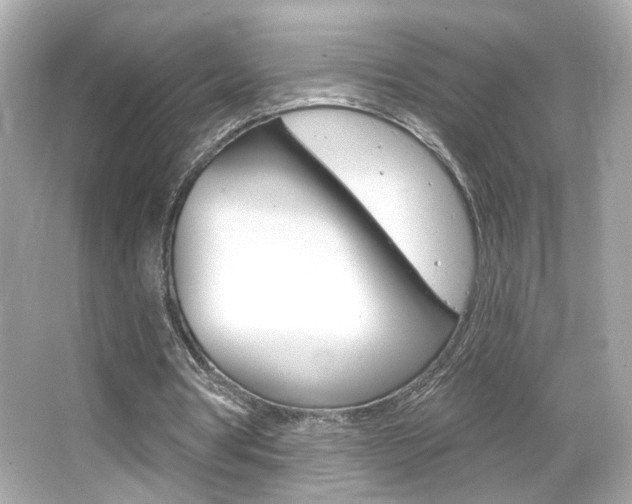 X0000066490386200603170929