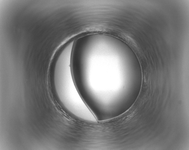 X0000066490388200603170929
