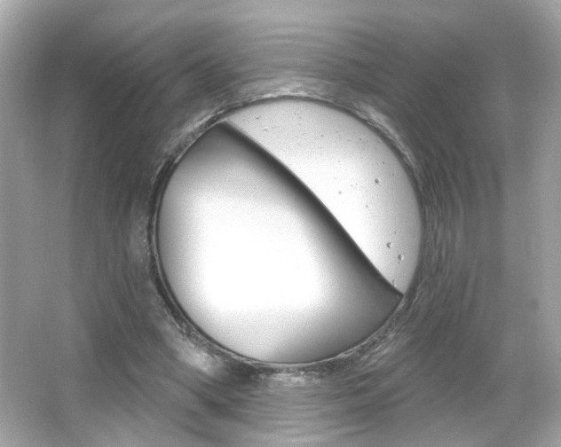 X0000066490394200603170929
