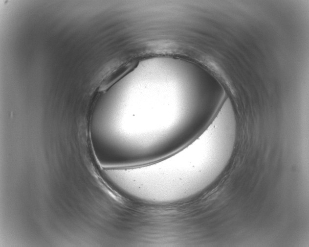 X0000066490397200603170929