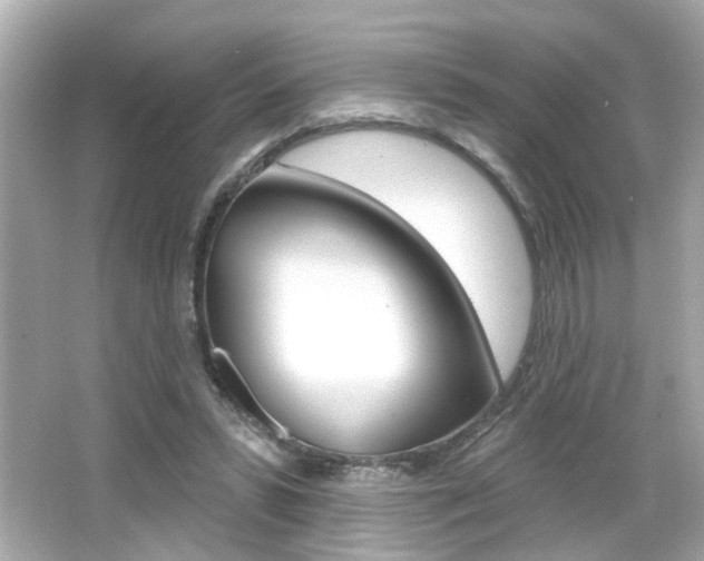 X0000066490399200603170929