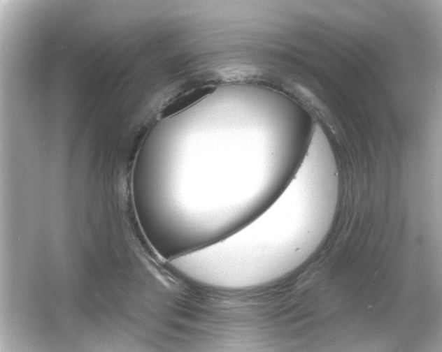 X0000066490405200603170929