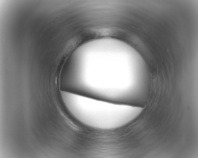 X0000066490406200603170929