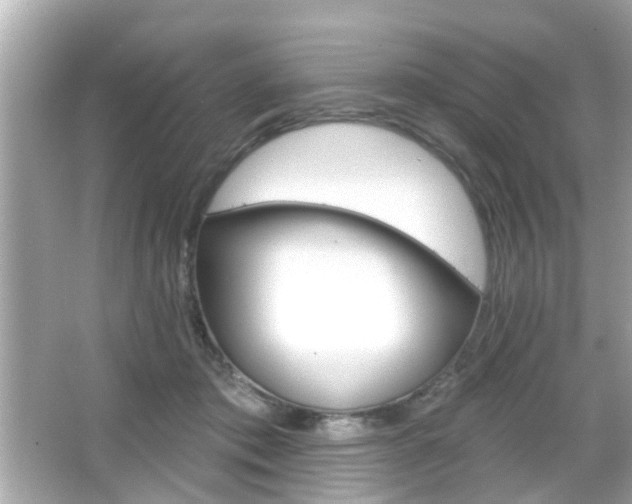 X0000066490413200603170929