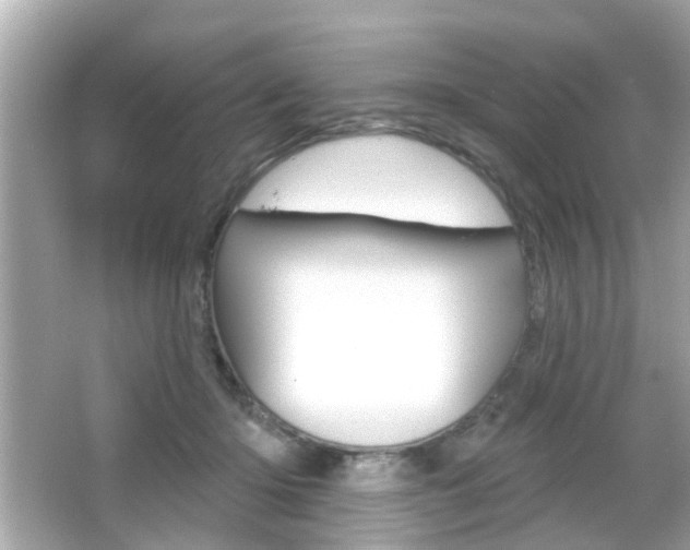 X0000066490414200603170929