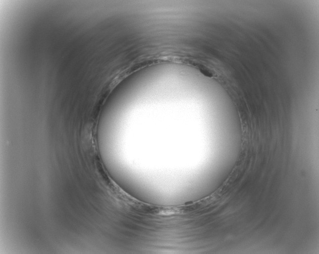 X0000066490415200603170929
