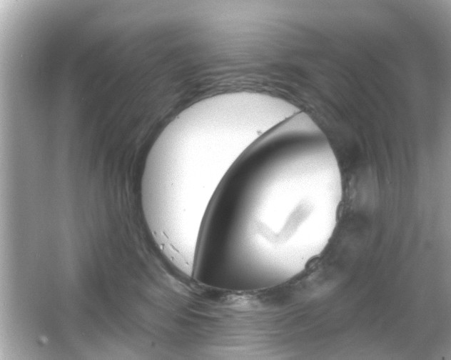 X0000066490424200603170929