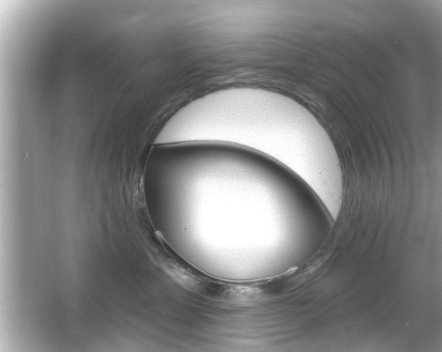 X0000066490429200603170929