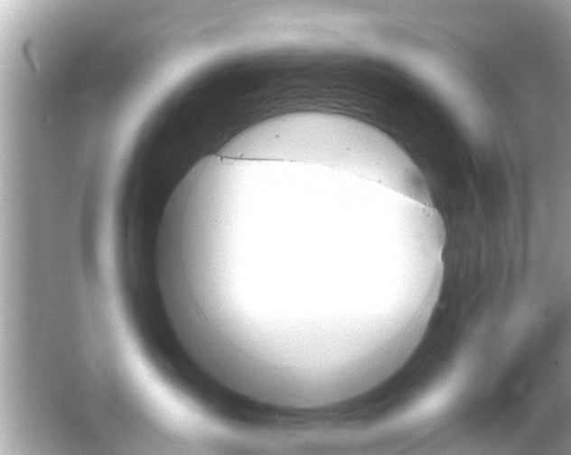 X0000066490431200603170929