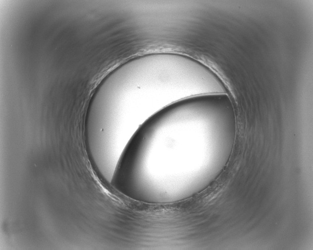 X0000066490433200603170928
