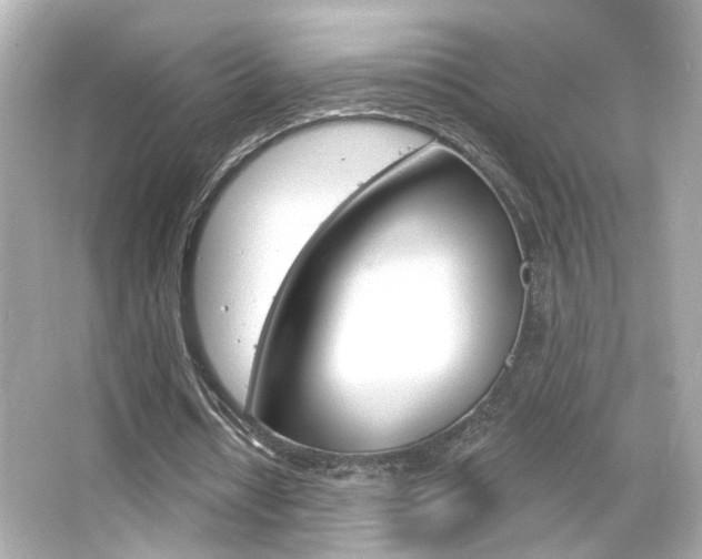 X0000066490434200603170928