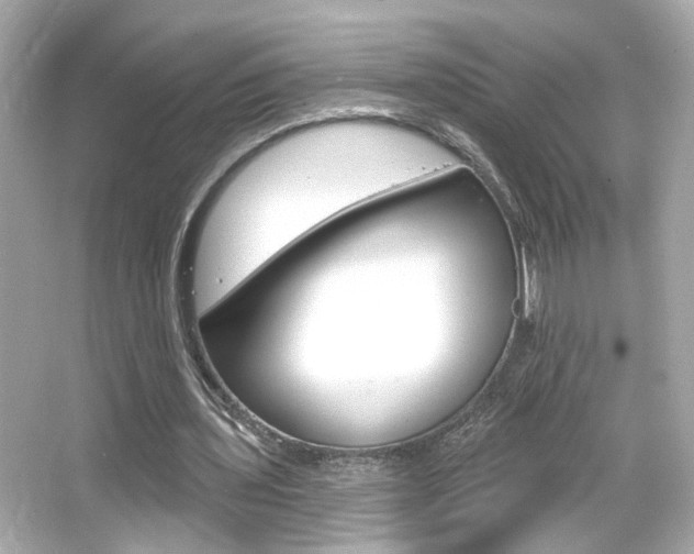 X0000066490435200603170928