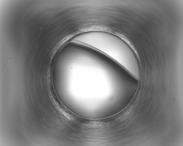 X0000066490437200603170928
