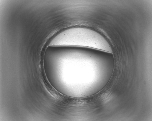 X0000066490443200603170928