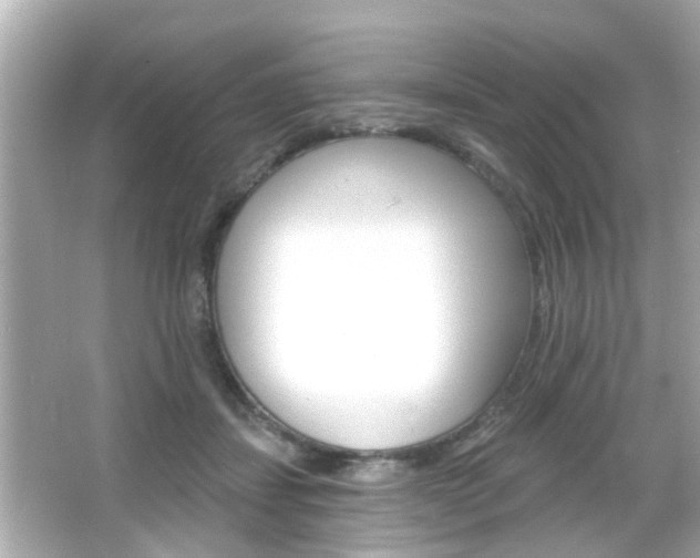 X0000066490459200603170928