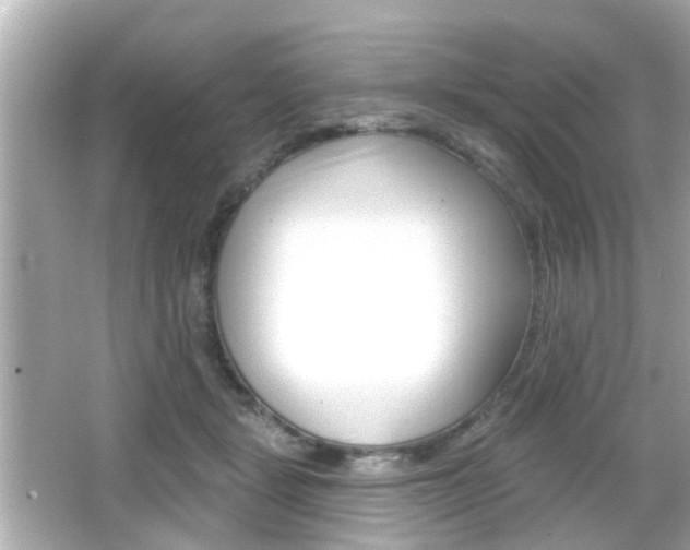 X0000066490461200603170928