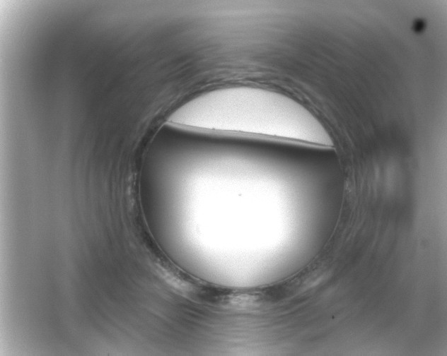 X0000066490462200603170928