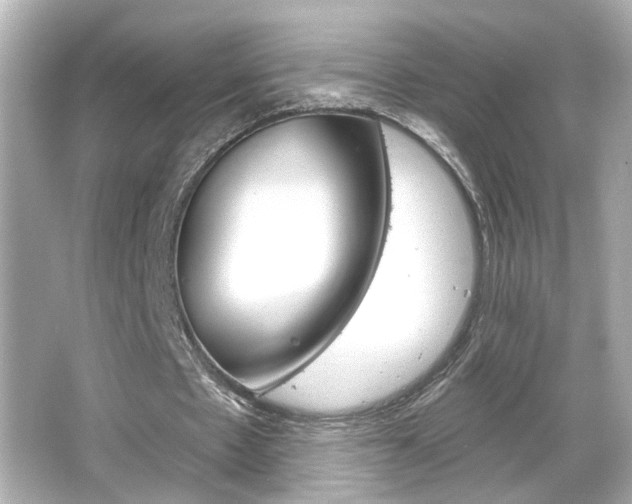X0000066490481200603170928