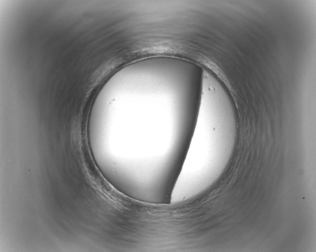 X0000066490482200603170928