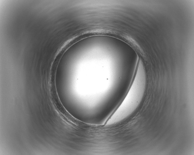 X0000066490484200603170928