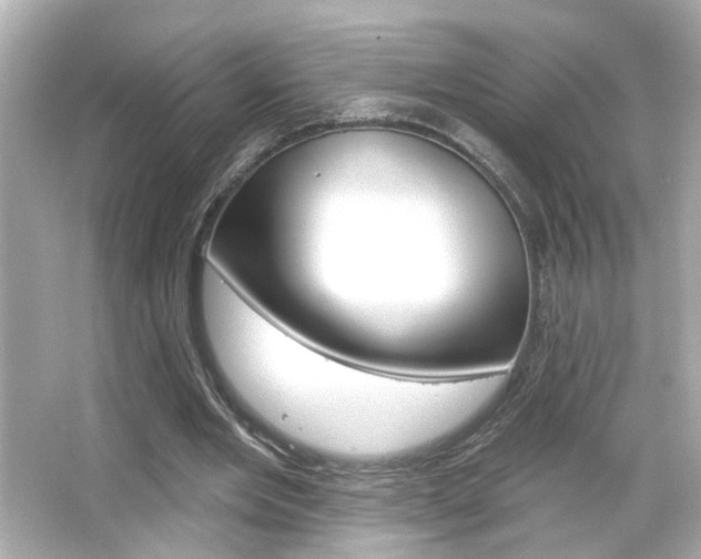 X0000066490485200603170928
