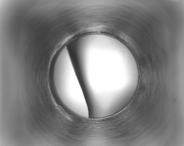 X0000066490486200603170928