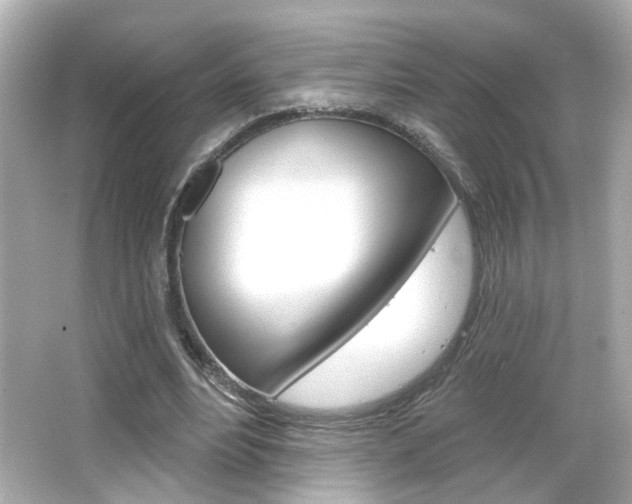 X0000066490488200603170928