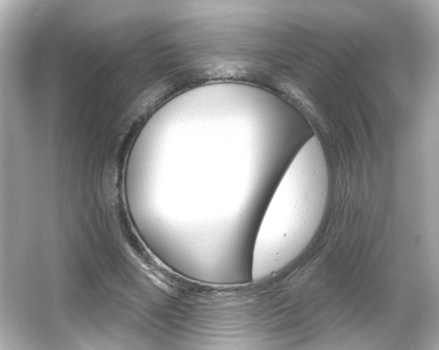 X0000066490490200603170928