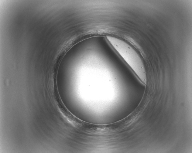 X0000066490493200603170928