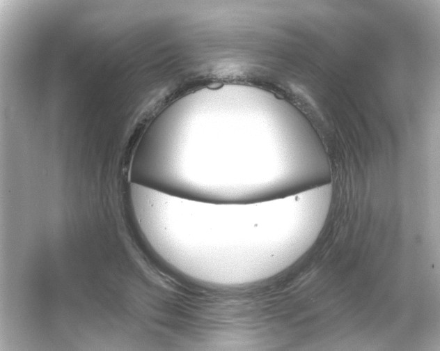 X0000066490495200603170928
