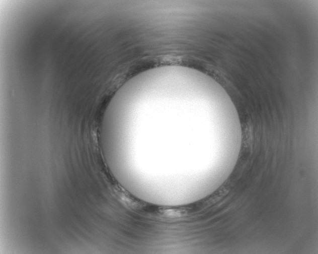 X0000066490522200603170927