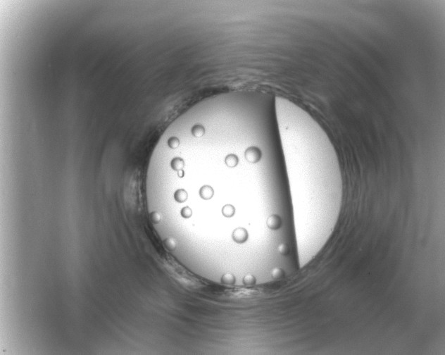 X0000066490527200603170927