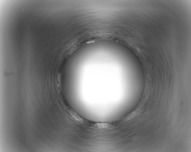 X0000066490528200603170927