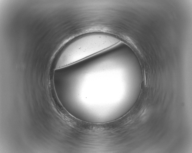 X0000066490531200603170926