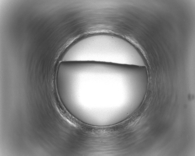 X0000066490533200603170926