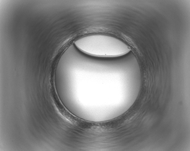 X0000066490538200603170926