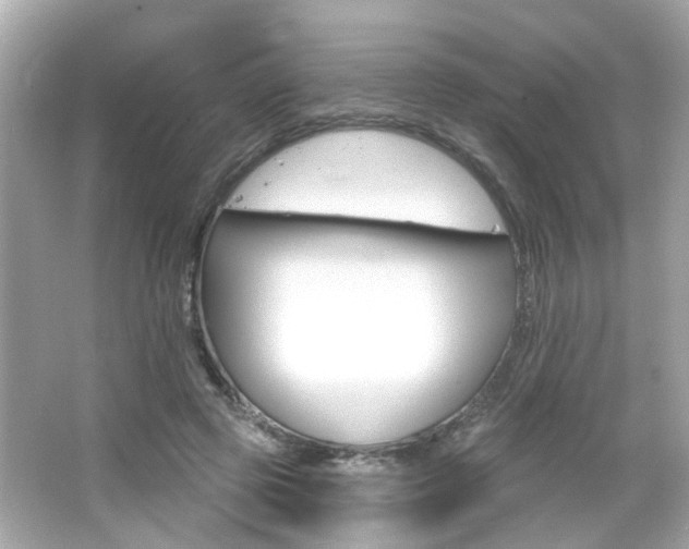X0000066490545200603170926